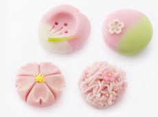 桜の上生菓子(4種類) 3月11日(金)より店頭に並びます