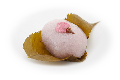 お知らせ最新画像